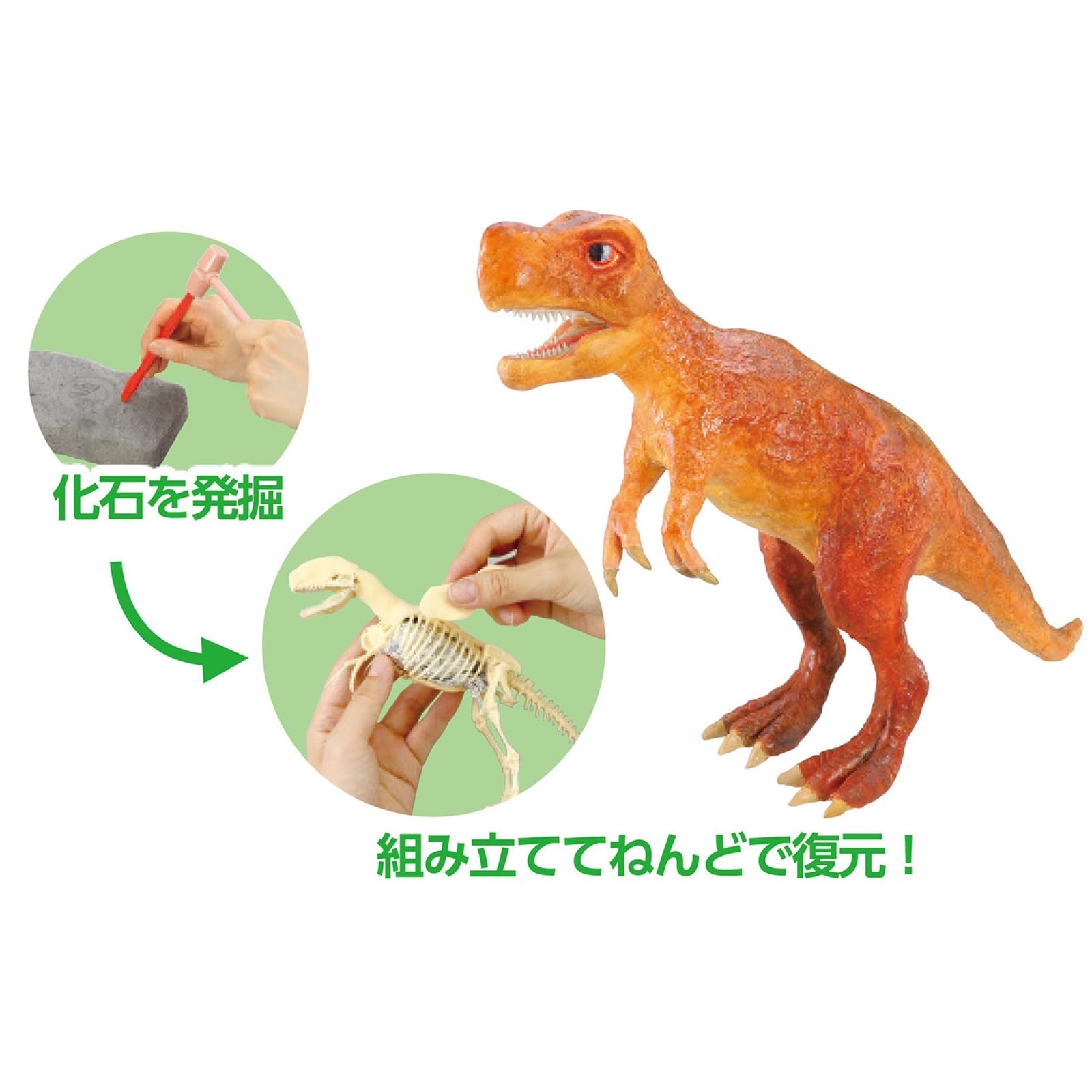 古生物/化石セット Amazon | アーテック 化石発掘復元キット ティラノサウルス