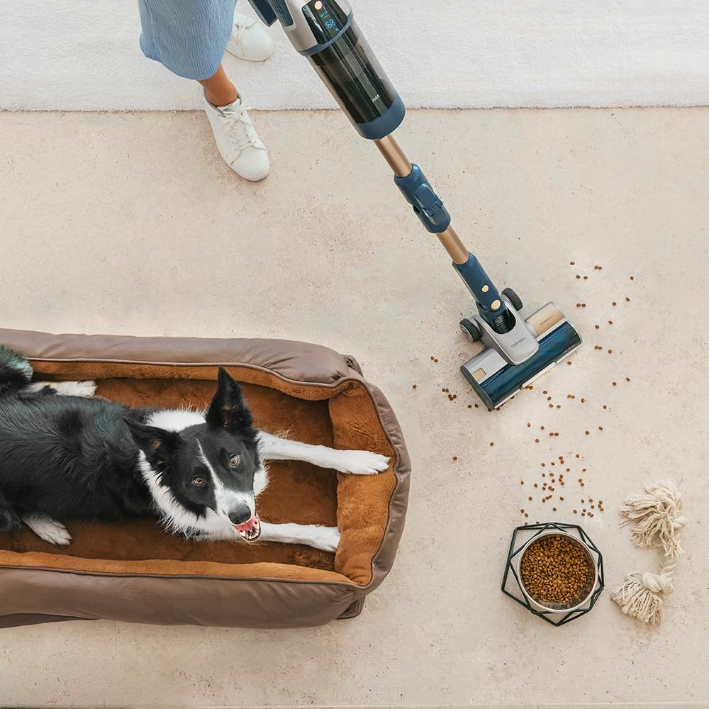 Cecotec Aspirapolvere Senza Fili Potente Conga Rockstar 11500 Odyssey Station Connected IA. Max 300AW, 800W, IA, App, fino a 110 min autonomia, Base auto-svuotante, Tubo Flessibile, Kit Accessori
