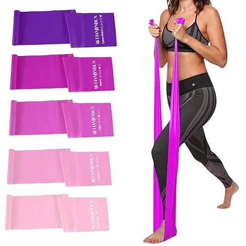 Lianjindun 5 Pcs Professional Resistance Bands. Latex-Free, Elastic Band, Work Out Bands, Stretch Bands for Working Out Women or Men, Exercise Bands Set for Physical Therapy, Yoga, Pilates - Gradient Pink Set