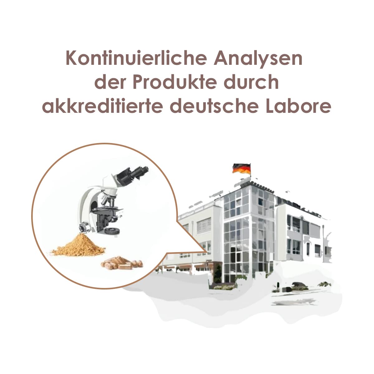 Bio Tremella Extrakt Kapseln, 240 Kapseln à 350 mg Tremella Pilz Extrakt je Kapsel. Mit Acerola Vitamin C, Vitalpilze Extrakt - 1 Dose - Nahrungsergänzungsmittel