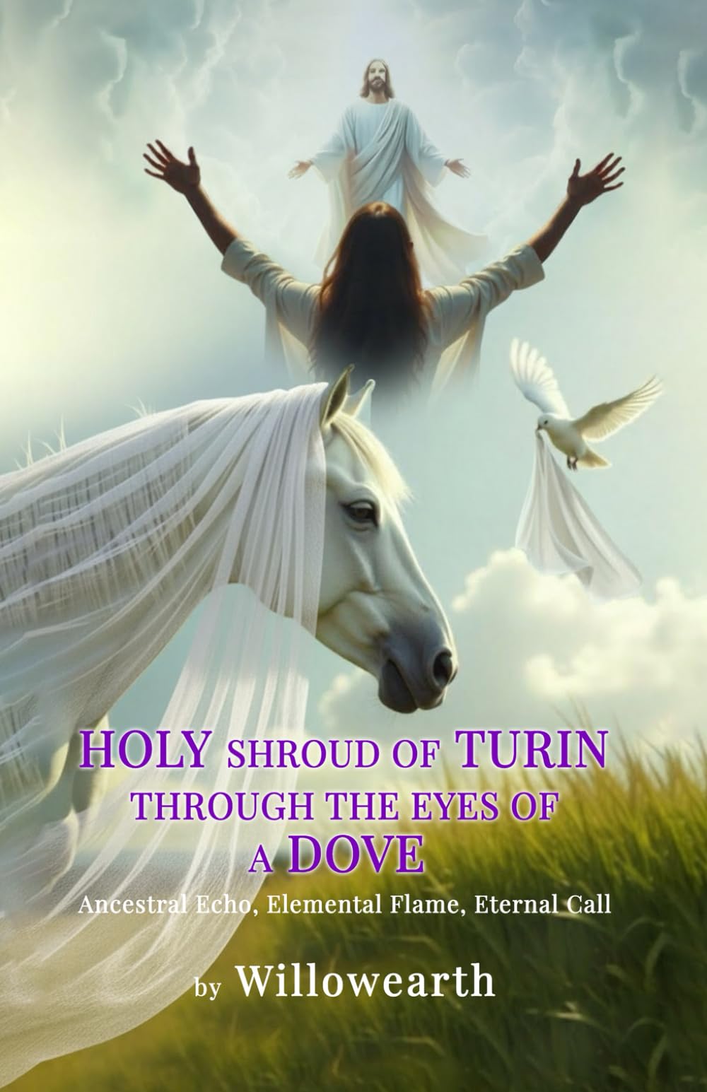 HOLY shroud of TURIN Through the eyes of a DOVE