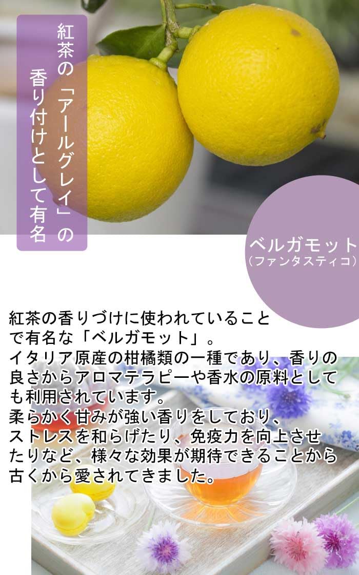 Amazon.co.jp: ベルガモット 苗木 ベルガモット (ファンタスティコ