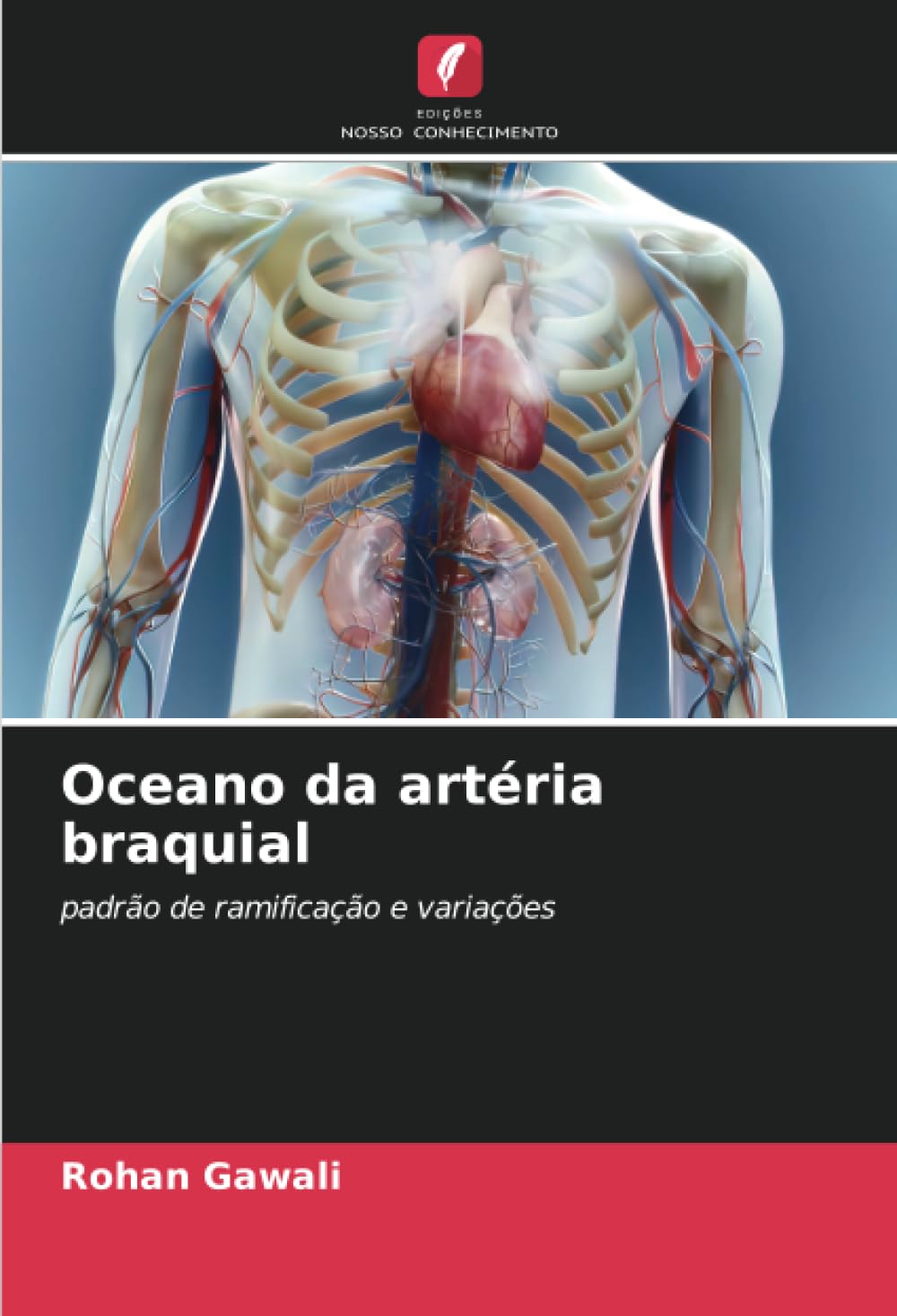 Oceano da artria braquial