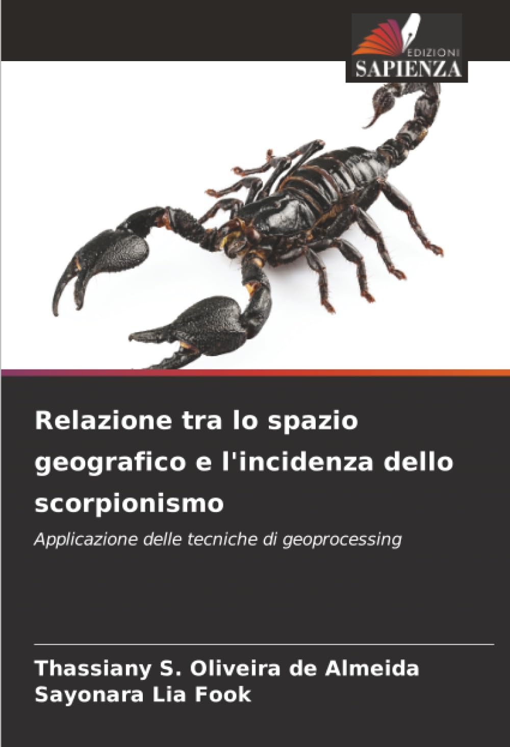 Relazione tra lo spazio geografico e l'incidenza dello scorpionismo: Applicazione delle tecniche di geoprocessing