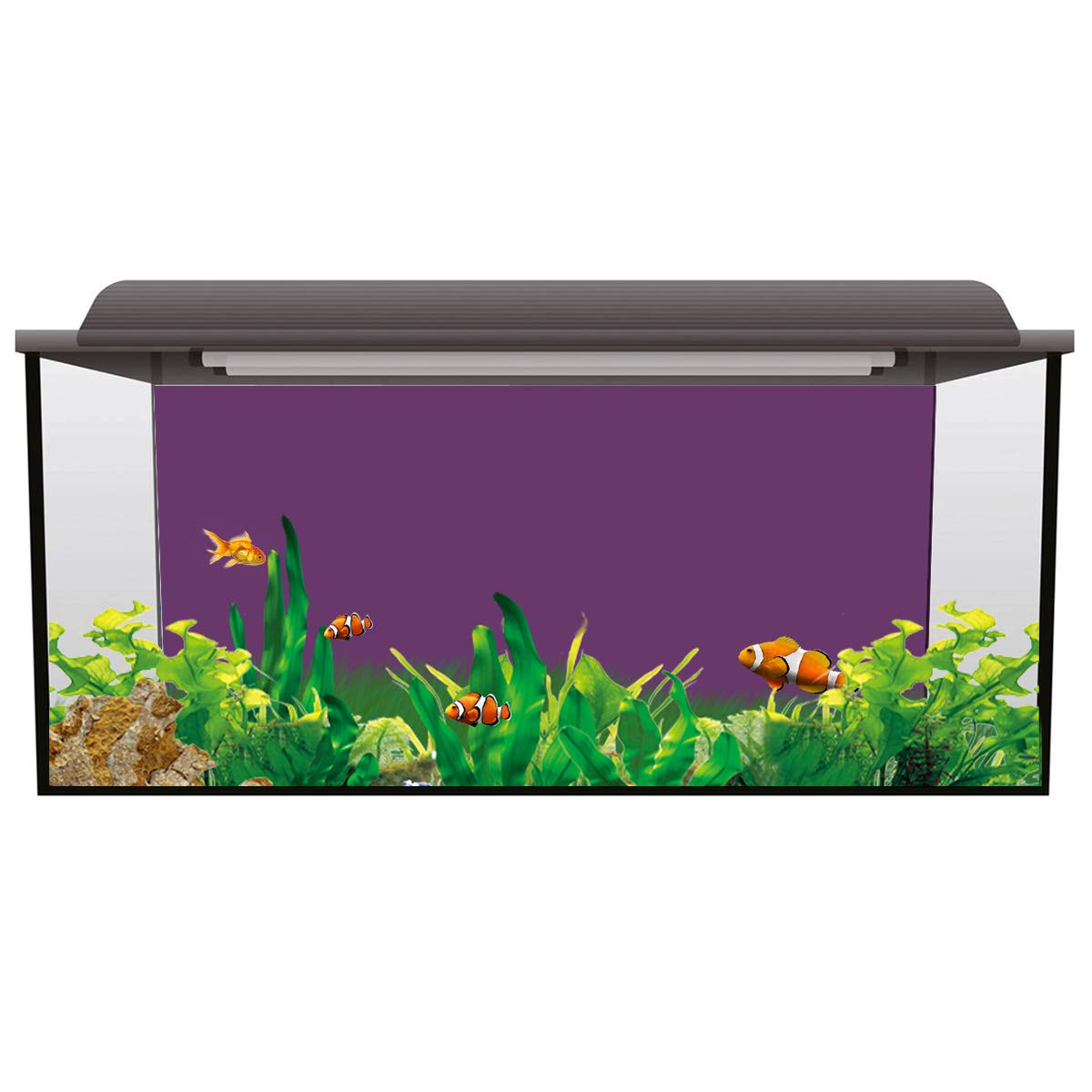 T&H Home Aquarium Décor Backgrounds - Pure Purple Fish Tank Background Aquarium Sticker Wallpaper Decoration Picture PVC Adhesive Poster, 30.4