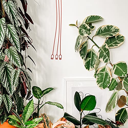 Yardwe 1712L0GD46R58IU7I 25Pcs Flower Pot Hook Plastic Planter Hooks Flowerpot Hangers Flowerpot Hanging Hooks Durable Garden Planter Hooks Plant Pots Hangers Hooks thumb #7