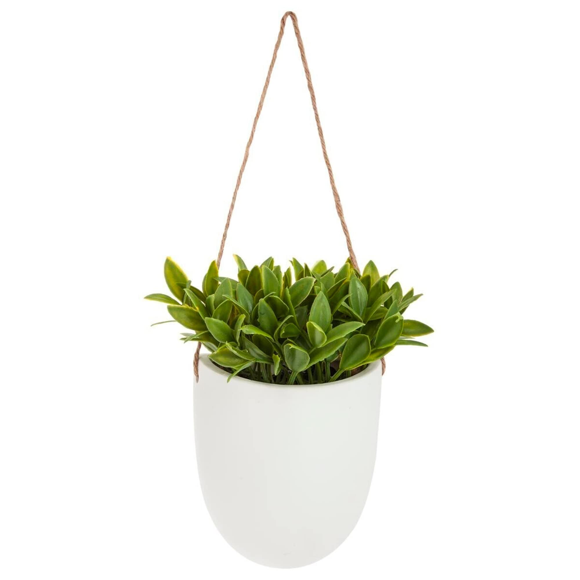 ATMOSPHERA CREATEUR D'INTERIEUR H20 Hanging Wall Plant