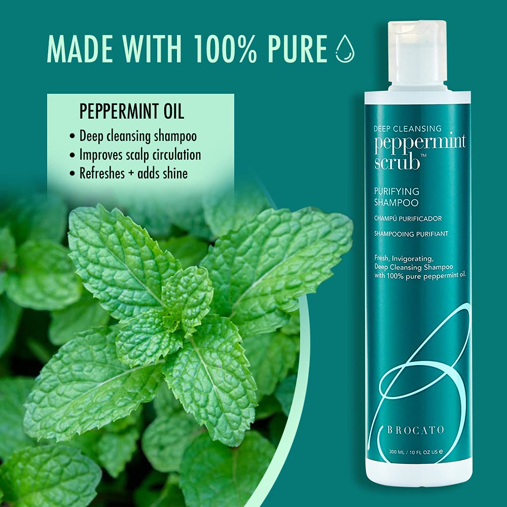 Brocato Peppermint Scrub Purifying Shampoo with Peppermint Oil, 10 Oz