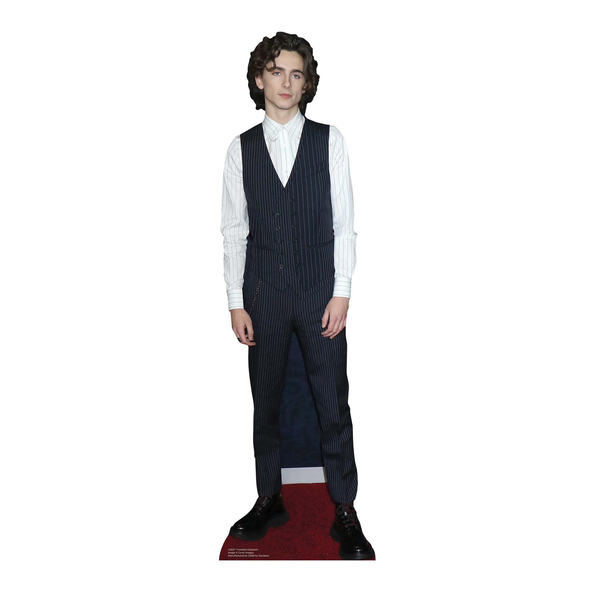 Timothee Chalamet Waistcoat Style Celebrity Mini Cardboard Cutout