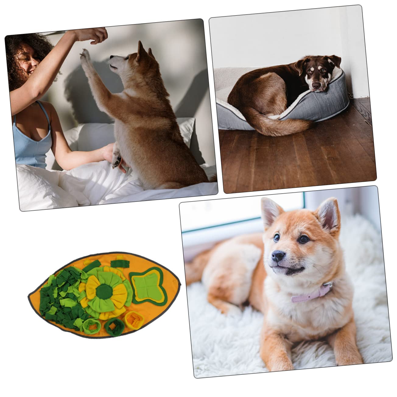minkissy Tappeto Olfattivo per Cani in Pile Polare per Addestramento e Alimentazione Graduale, Tappetino Interattivo per Riduzione dello Stress e Stimolazione Mentale