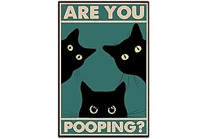 Black Cat Are You Pooping Funny Tin Signs for Bathroom Decor (8" x 12")