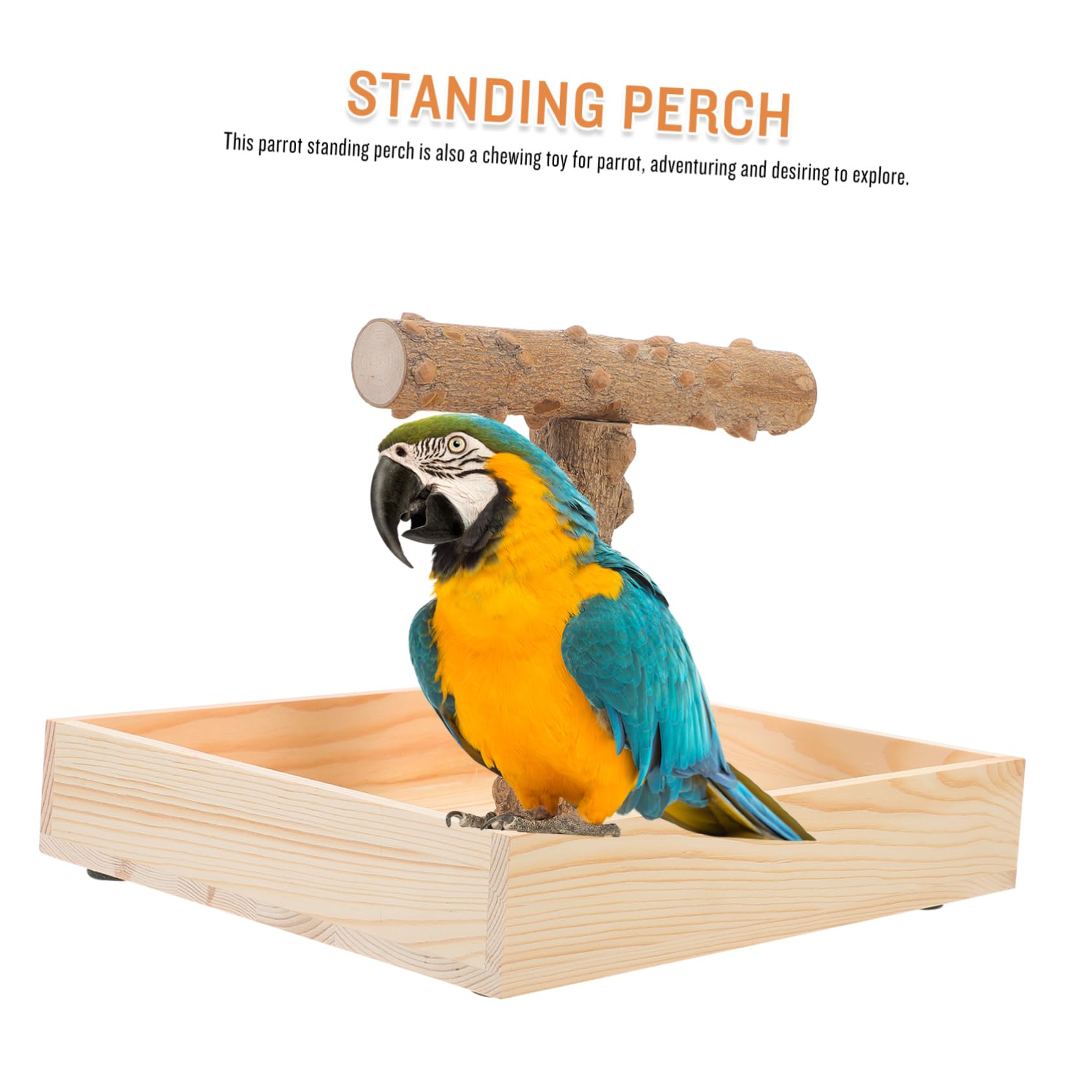 Sosoport Vogel Sitzstange Für Papageien Natürliche Standvorrichtung Für Käfige Oder Tische Für Cockatiels Nymphensittiche Und Andere Kleine Vögel Und Für Spiel Und