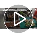 Image of andrew james Deep Fryer 6 Liters Stainless Steel Mega Sale - 1 Year Warranty | Commercial for Industrial Use