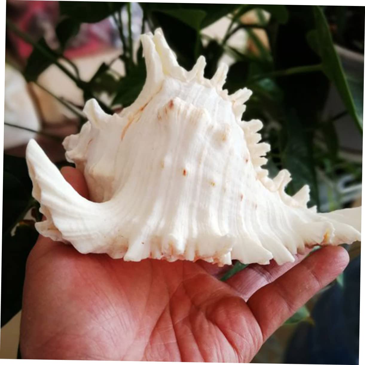 Decorazione per Bianco Decorazione Lifelike per Sicura e Facile
