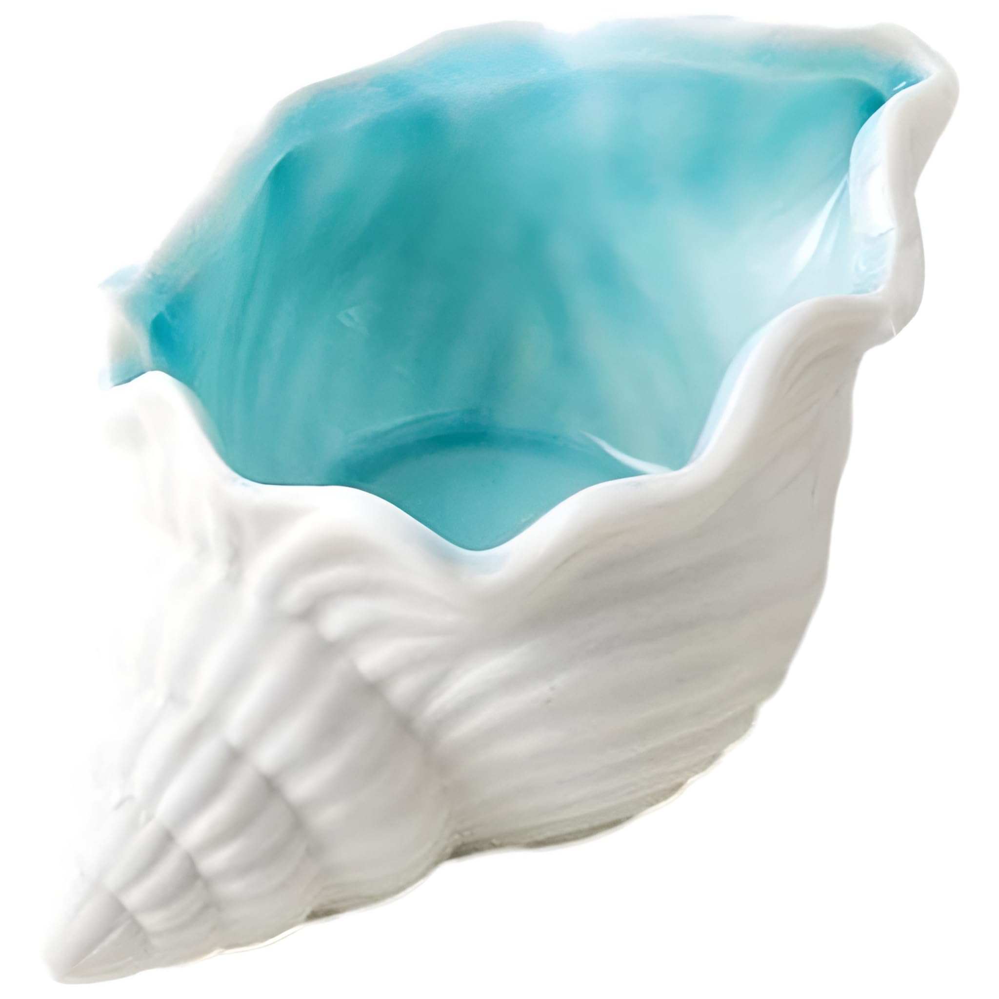 Amazon.co.jp: [Queen-b] 小物入れ トレー 貝殻 卓上 リアル 海