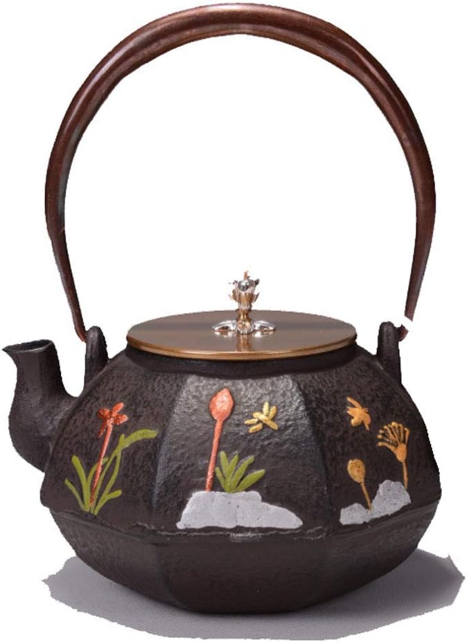 Japanese Cast Iron Tetsubin Classic Tea Pot Stove Top Cast Iron Teapot