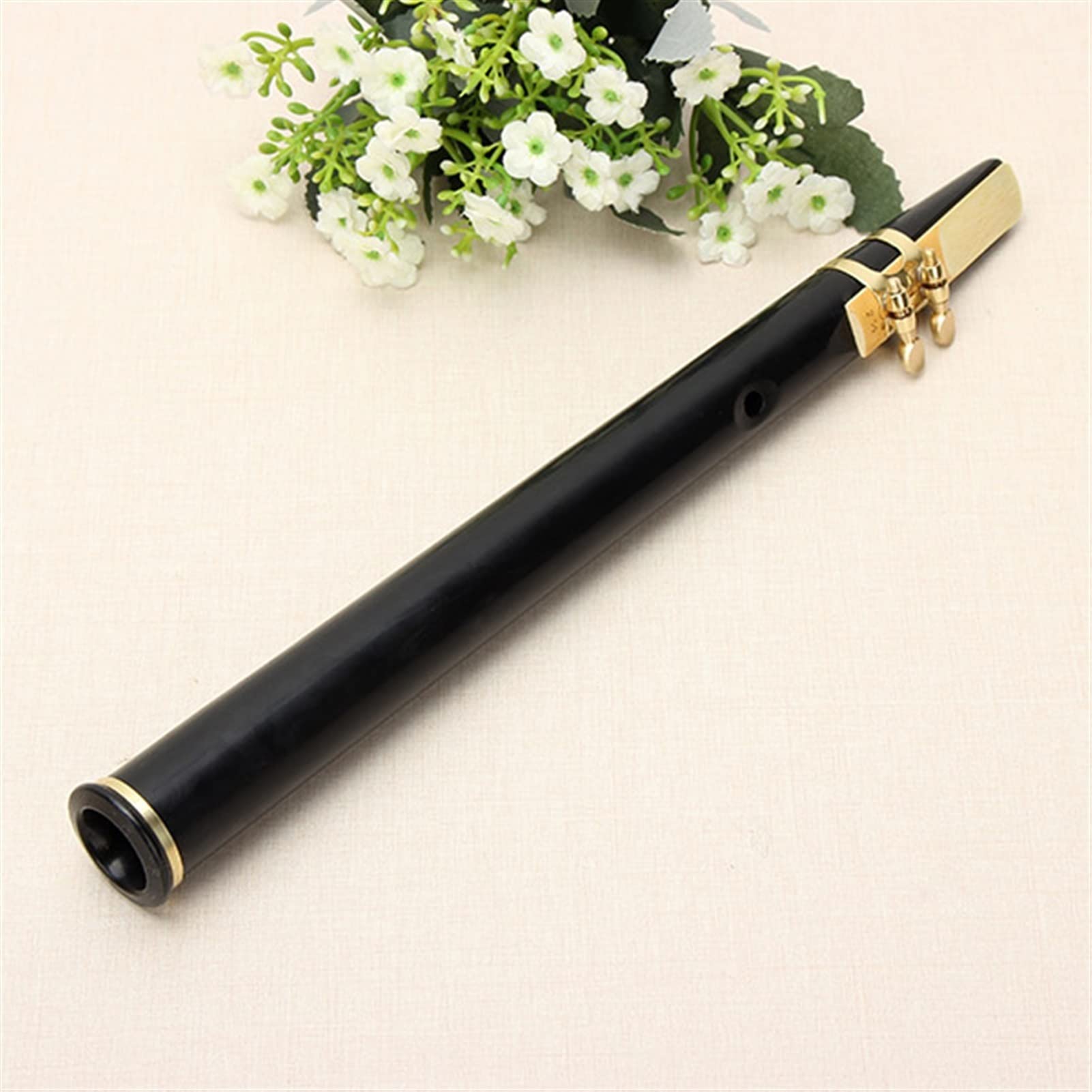 Pocket Sax Alto C Tune Mini Sax Saxofon Saxofon Sax Sax Ophone Negro con Bolsa de Transporte Instrumento de Viento Saxofón Profesional