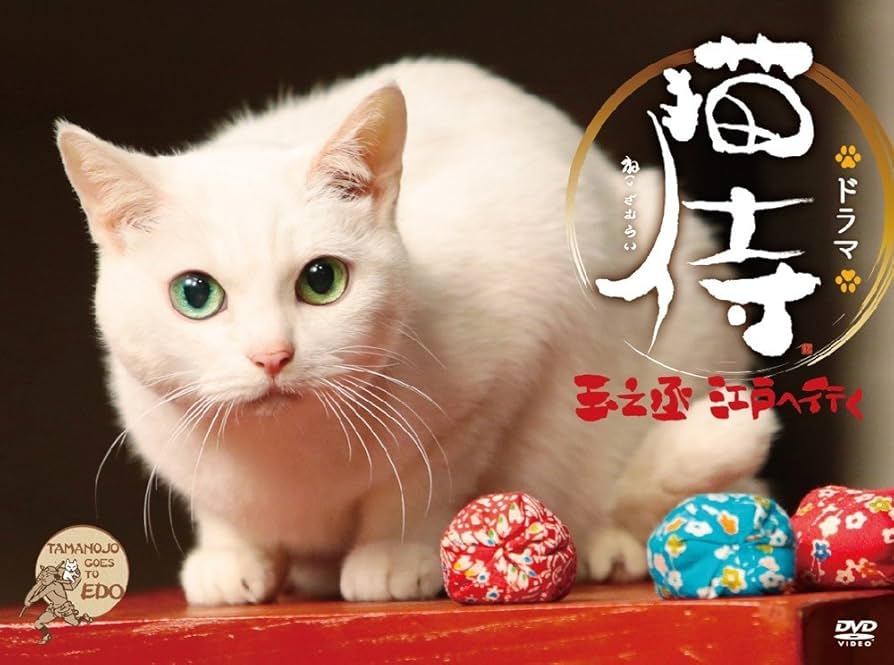 Amazon.co.jp: スペシャルドラマ「 猫侍 玉之丞、江戸へ行く 」 [DVD