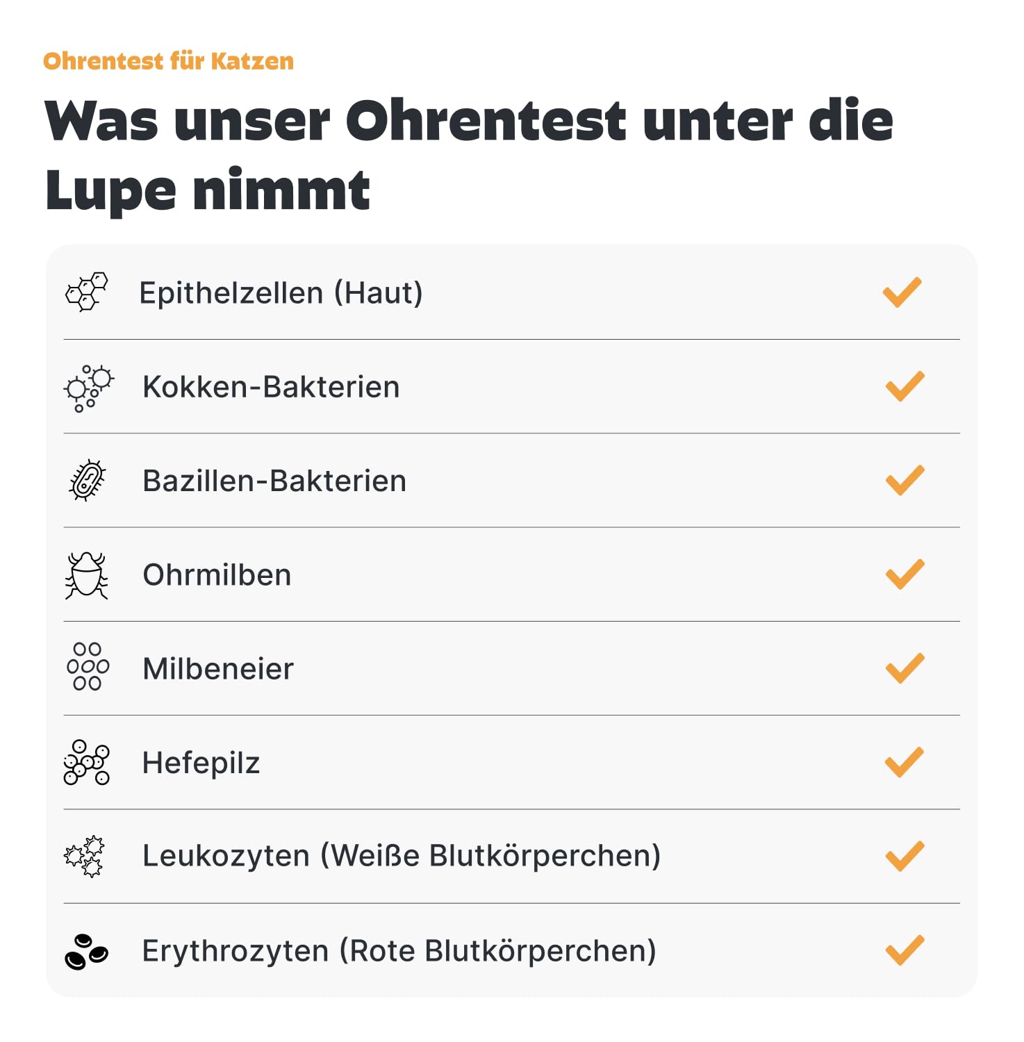 Pezz Ohrentest für Katzen zum Testen auf Ursachen von Ohreninfektionen (Milben, Bakterien & Hefepilz) | Abstrich-Proben von beiden Ohren | Ergebnis als Labor-Befund | gratis Labor-Versand