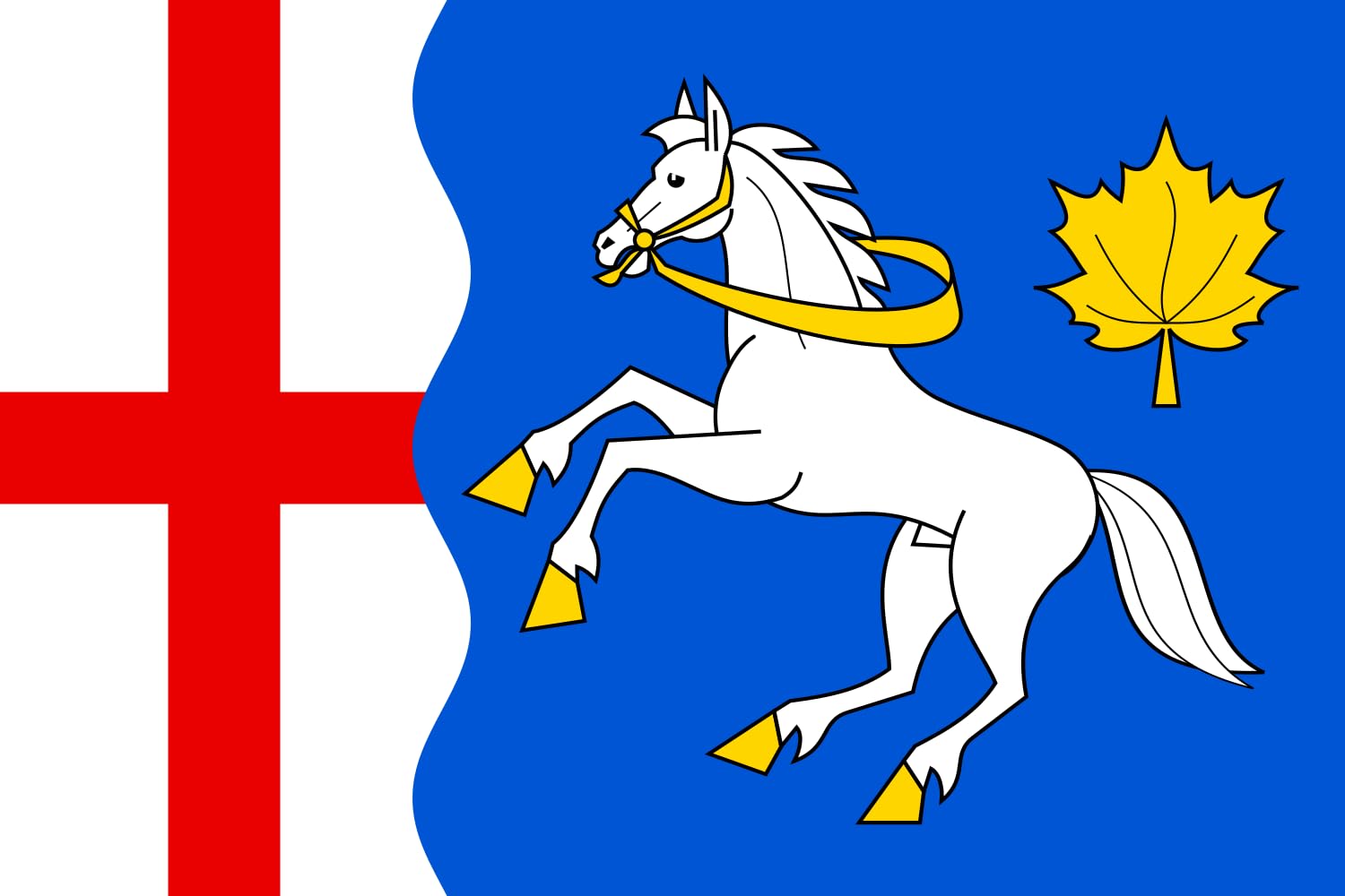 Drapeau Javornice CZ pavillon Rychnov nad Kněžnou pour mât extérieur