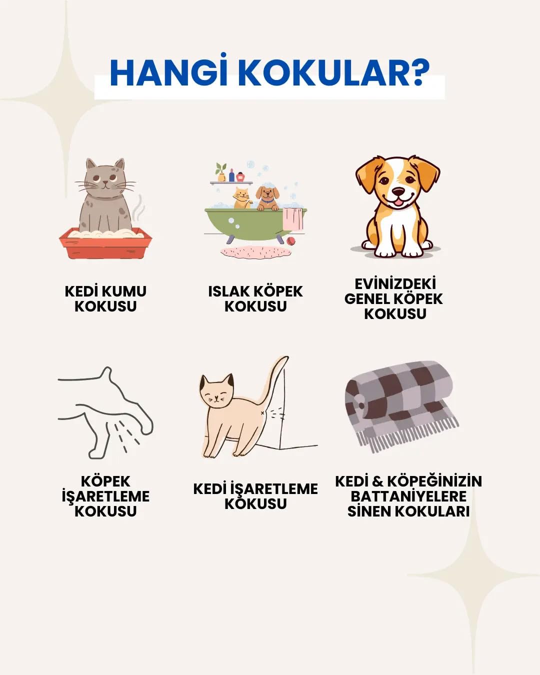 ODORGO Pet Koku Yok Edici Jel 250g – Kedi Kumu Kabı ve Pet Alanları İçin Kalıcı Koku Giderici
