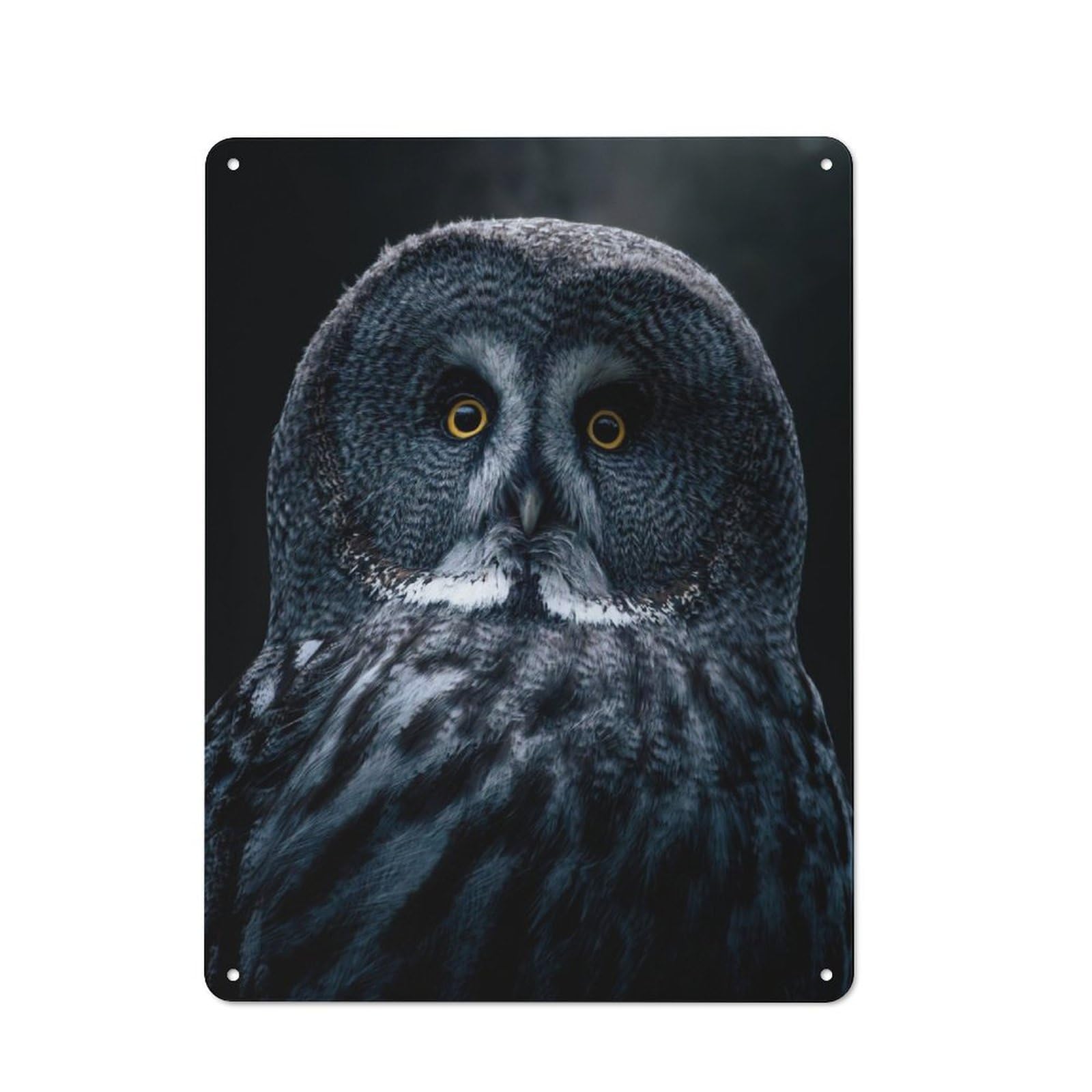 Junmoney Grey Bart Owl Rustic Tin Wall Plaque 40X30cm For Studio Or Craft Room, For Garage, Workshop And Man Cave Decoration