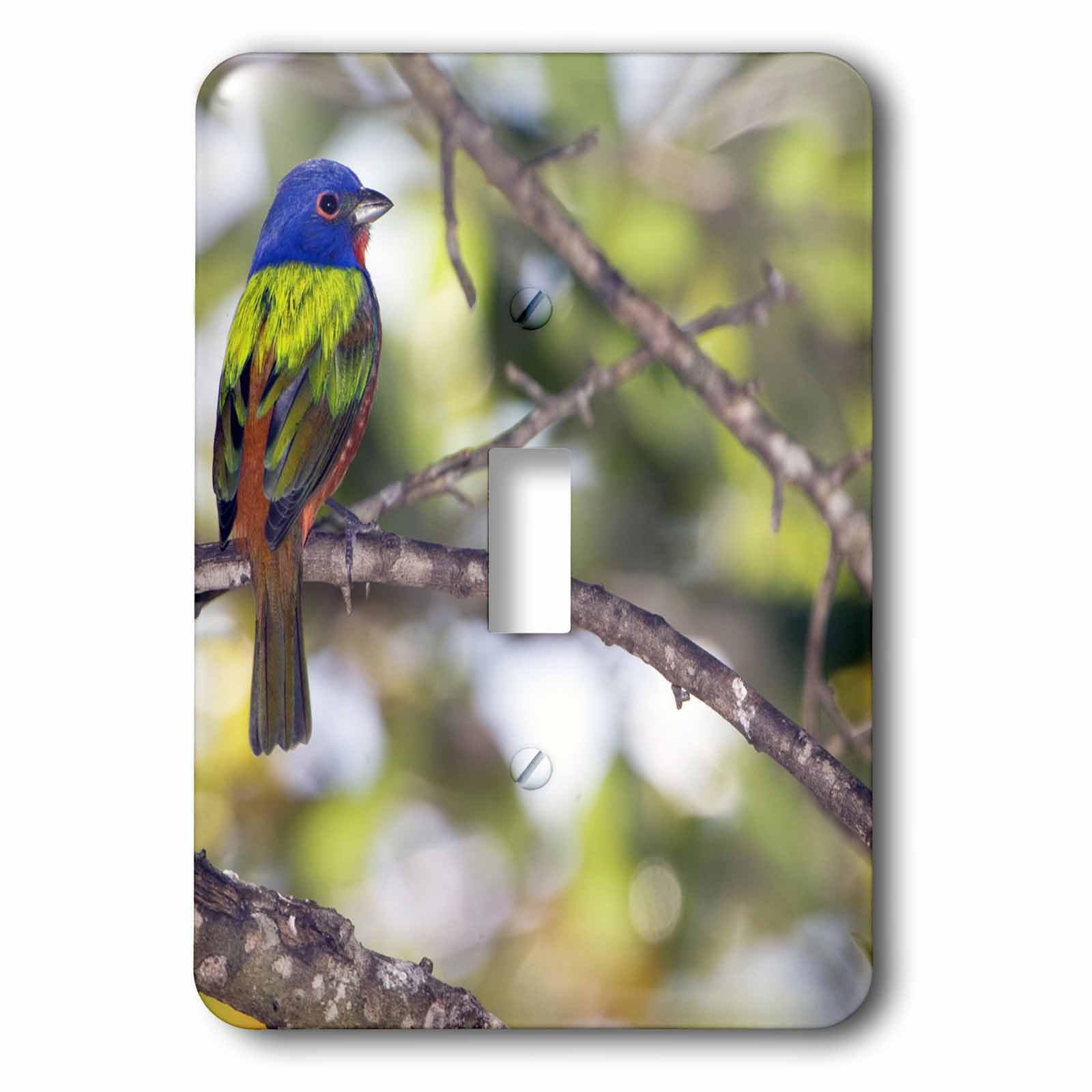 Oiseaux peints Bernard Friel interrupteur simple pour salon chic