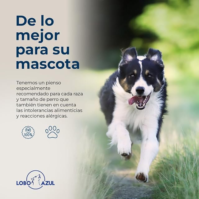 Foto 6 de 7 de Pienso Sin Cereales Light para Perros Esterilizados y Adultos Senior