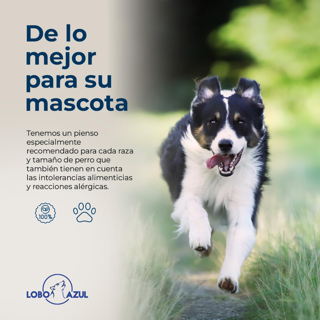 Pienso Sin Cereales Light para Perros Esterilizados y Adultos Senior 12kg