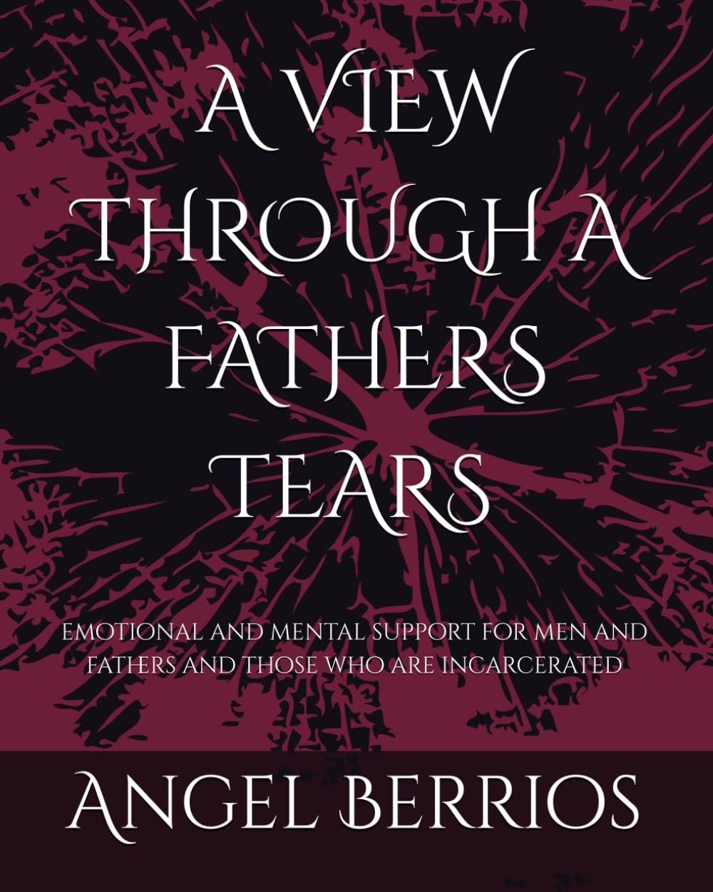 A VIEW THROUGH A FATHERS TEARS: emotional and mental support for men and fathers and those who are incarcerated