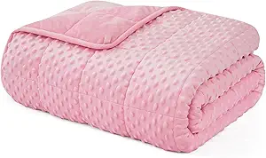 L'AGRATY Weighted Blanket for Adult - 48"x72" 15lbs Minky Dots Heavy Blanket with Glass Beads Soft Breathable for All-Season Summer Fall Winter Thick Comfort for Sleeping