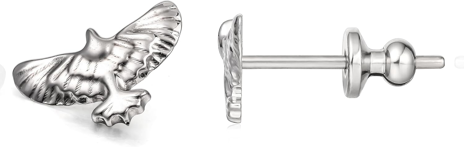 Limerencia F136 Hypoallergenic Implant Grade Cubic Zirconia Pure Titanium Studs,G23 Small Dainty Earrings for Women's Sensitive Ears