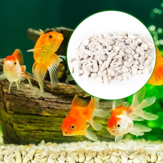 Amazon Co Jp 水槽用底砂 水族館装飾砂 水族館風景装飾砂 1000g 水族館装飾diy砂 淡水 海水 水族館 植木鉢 アクアリウム 観賞魚 庭園アクセサリ 多目的 天然石 ガーデニング用飾り石 ペット用品