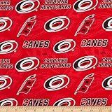 NHL Carolina Hurricanes Tone on Tone Cotton Multi, Quilting Fabric by the Yard