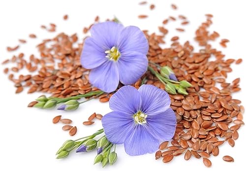 Miniatura 7 de Harina de linaza marrón orgánica, 4 libras, sin OMG, kosher, molida en frío a partir de semillas enteras crudas, polvo puro, superalimento vegano, a