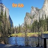 Simple Peace Respect (CRS Remix) [feat. Dj CRS and Prefyx]