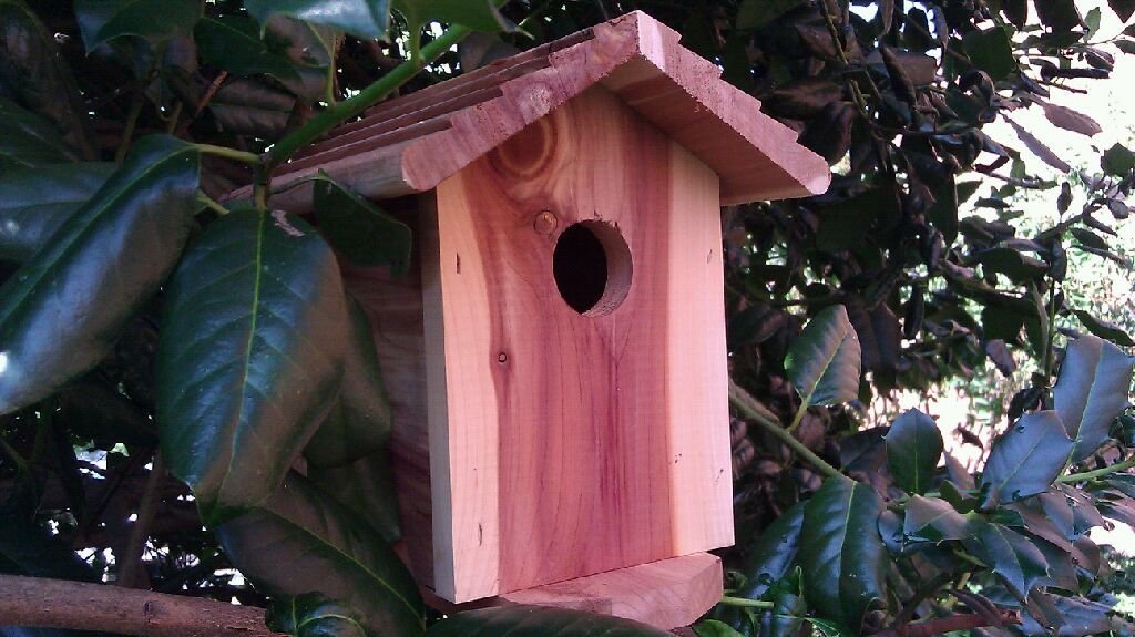 Battery Powered Bird House HD Hidden Spy Camera w DVR 30-Day Standby Battery - HD Video Quality Hidden