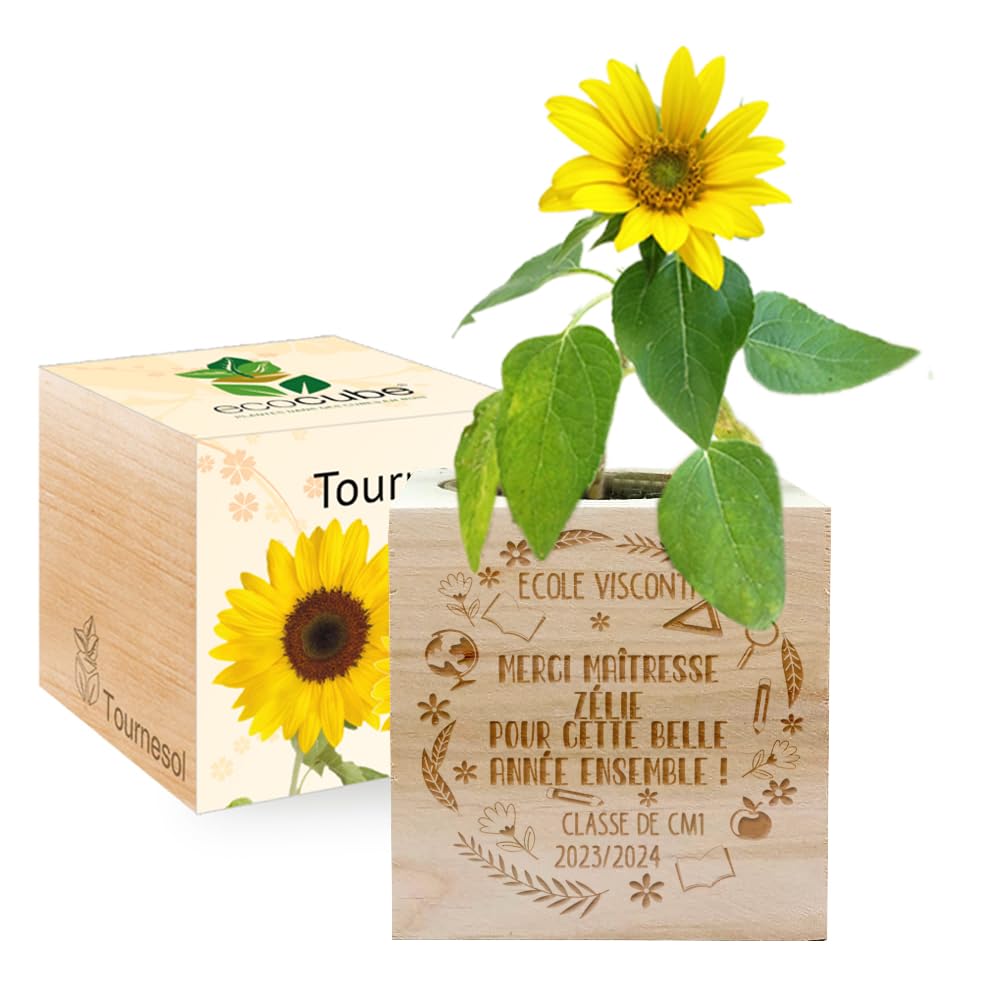 EcoCube à graver Remerciement fin d'année scolaire Tournesol
