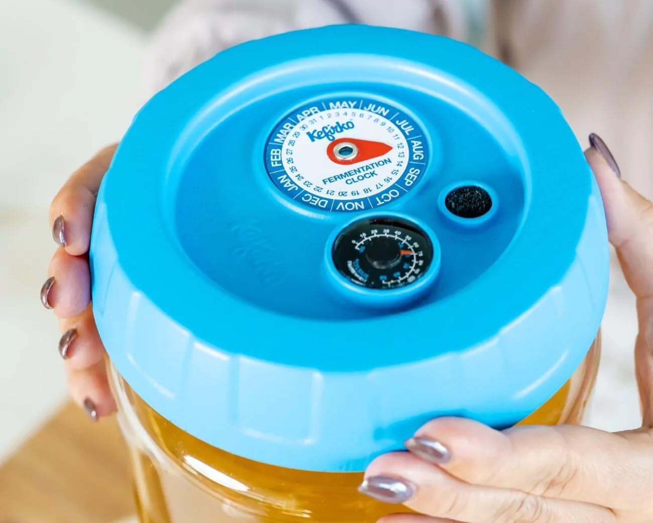 Kefirko Kombucha Kit de fermentation | Bocal en verre, couvercle, filtres, horloge de fermentation et livre de recettes, 4 litres (bleu)