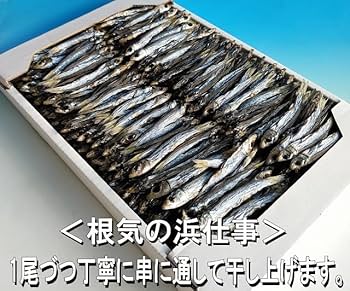 Amazon.co.jp: めざし 1kg 小or極小 九州産 うるめいわし丸干し 上乾目