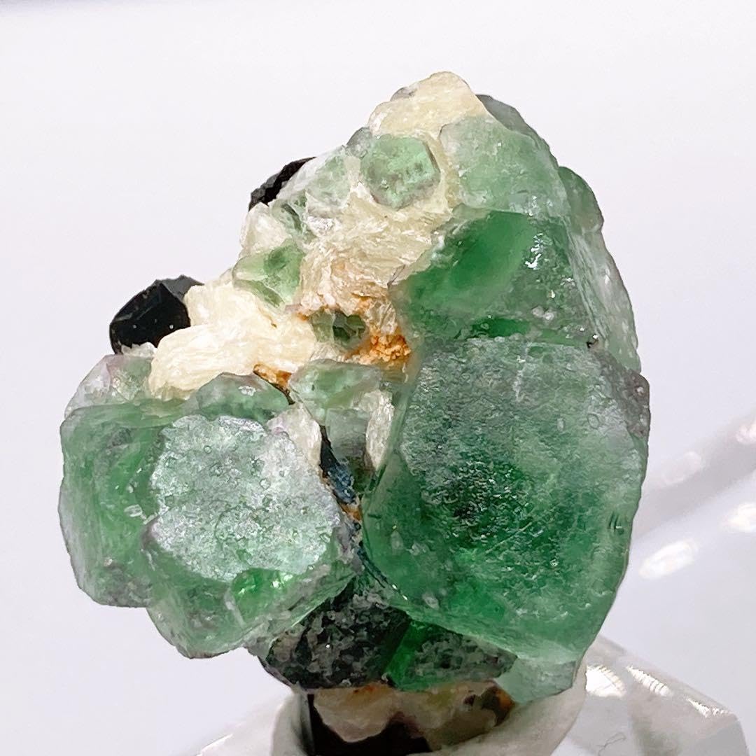 Amazon | フローライト 蛍石 エロンゴ 原石 鉱物標本 990 | 岩石・鉱物