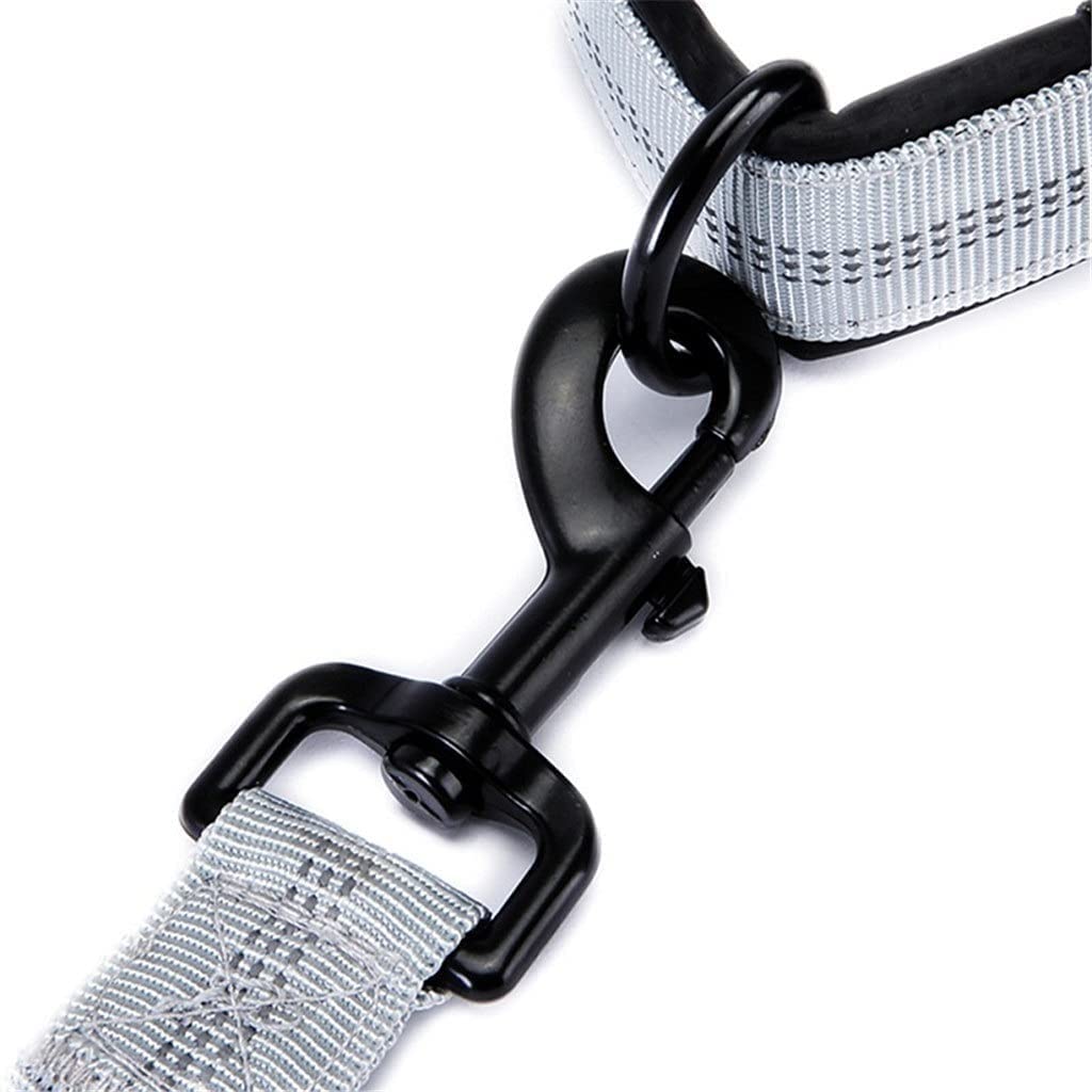Guinzaglio per Cani Guinzaglio Per Cani Da Corsa Nylon Mano Liberamente Prodotti Per Animali Domestici Collare Per Imbracatura Per Cani Guinzagli Per Guinzaglio Da Jogging Guinzaglio Addestramento (C
