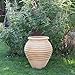 Produktbild Kreta-Keramik | mediterrane hochwertige Amphore | 60 cm | frostfest | bauchiges Pflanzgefäß für Innen und Außen, Garten Terrasse Deko, Ficus