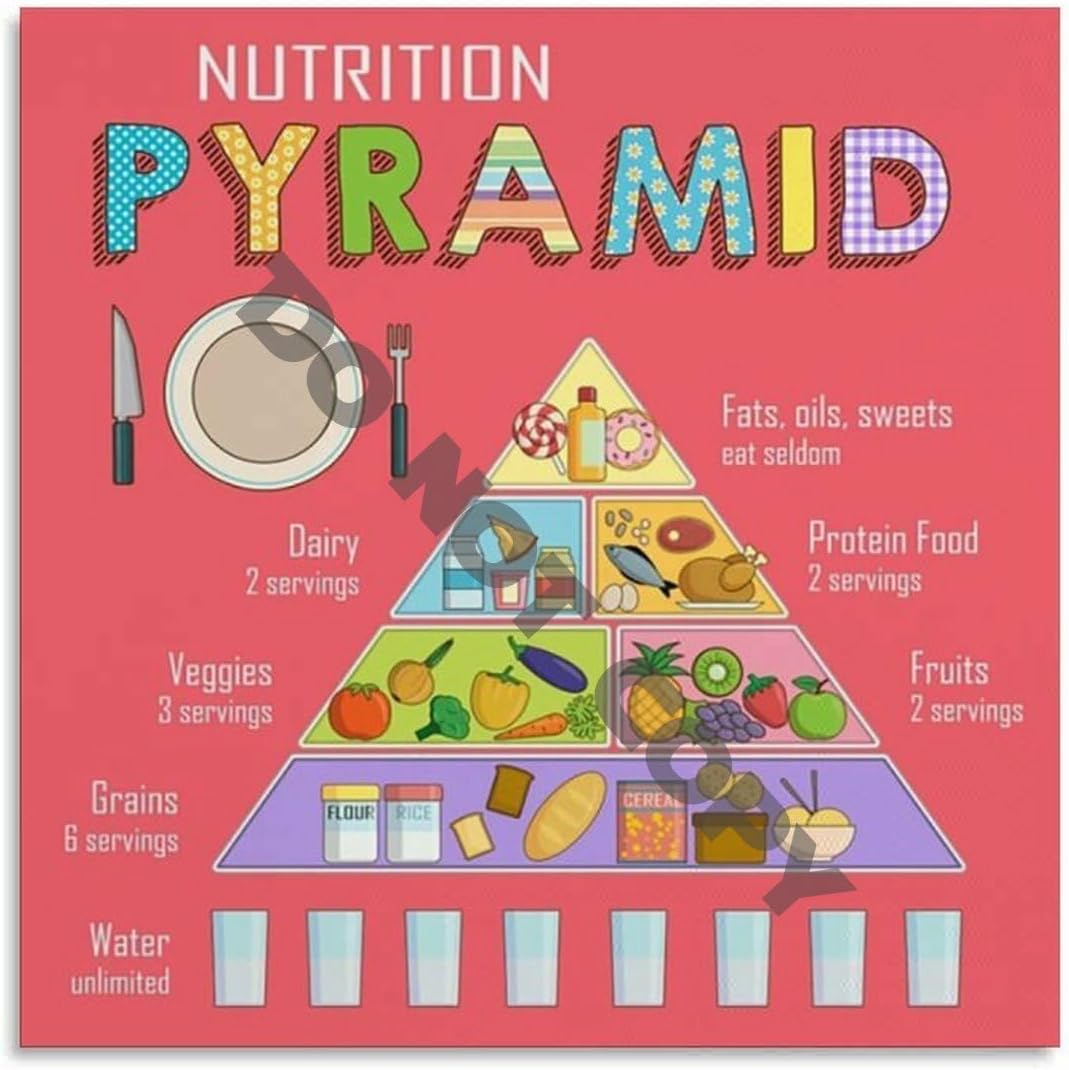 Healthy Food Pyramid Chart for Kids Poster (223) Canvas Painting for Living Room Bedroom Decor 16x16inch(40x40cm) Unframe-style