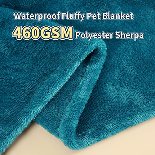 Macevia Waterproof Dog Blanket, Fluffy Soft Pet Blankets For Dogs And Cats, Plush Throw Furniture Protector Cover For Sofa Couch Bed (60X80 Inch, Teal Blue) #TOP1