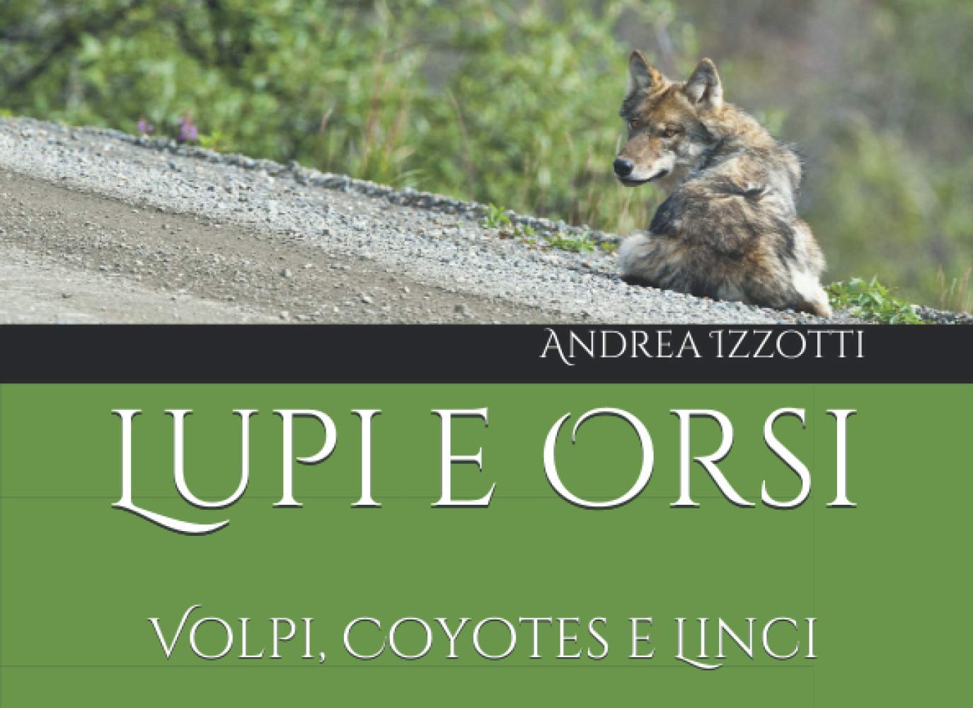 Lupi e Orsi: Volpi, Coyotes e Linci (Nati per essere liberi)