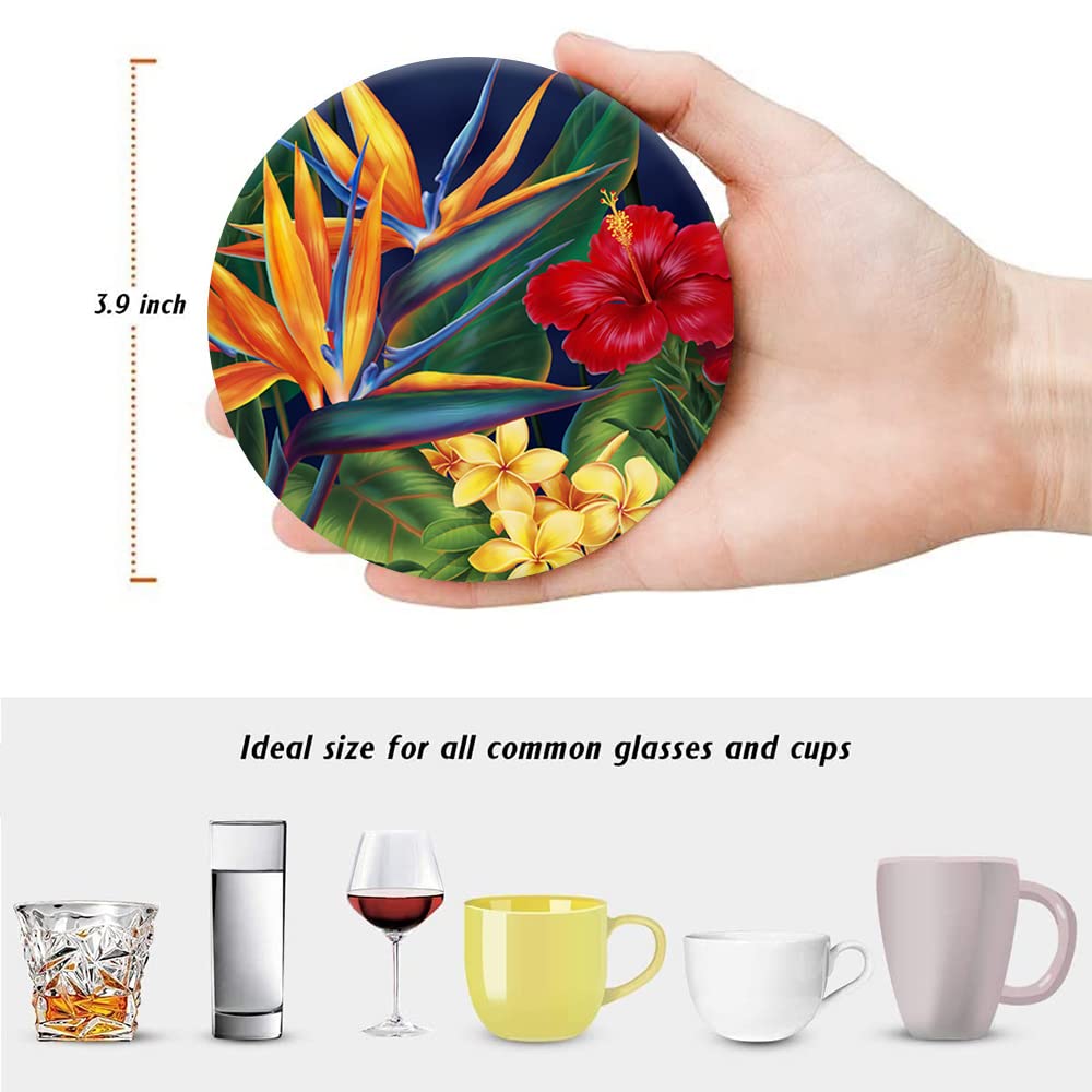 Vibiliyou Coasters for Drinks Tropical Bird of Paradise Absorbent Ceramic Set of 6,Coaster,Round Stone Mat,with Cork Base and Metal Holder for Room Bar Home Decor Housewarming Gifts - Image 2
