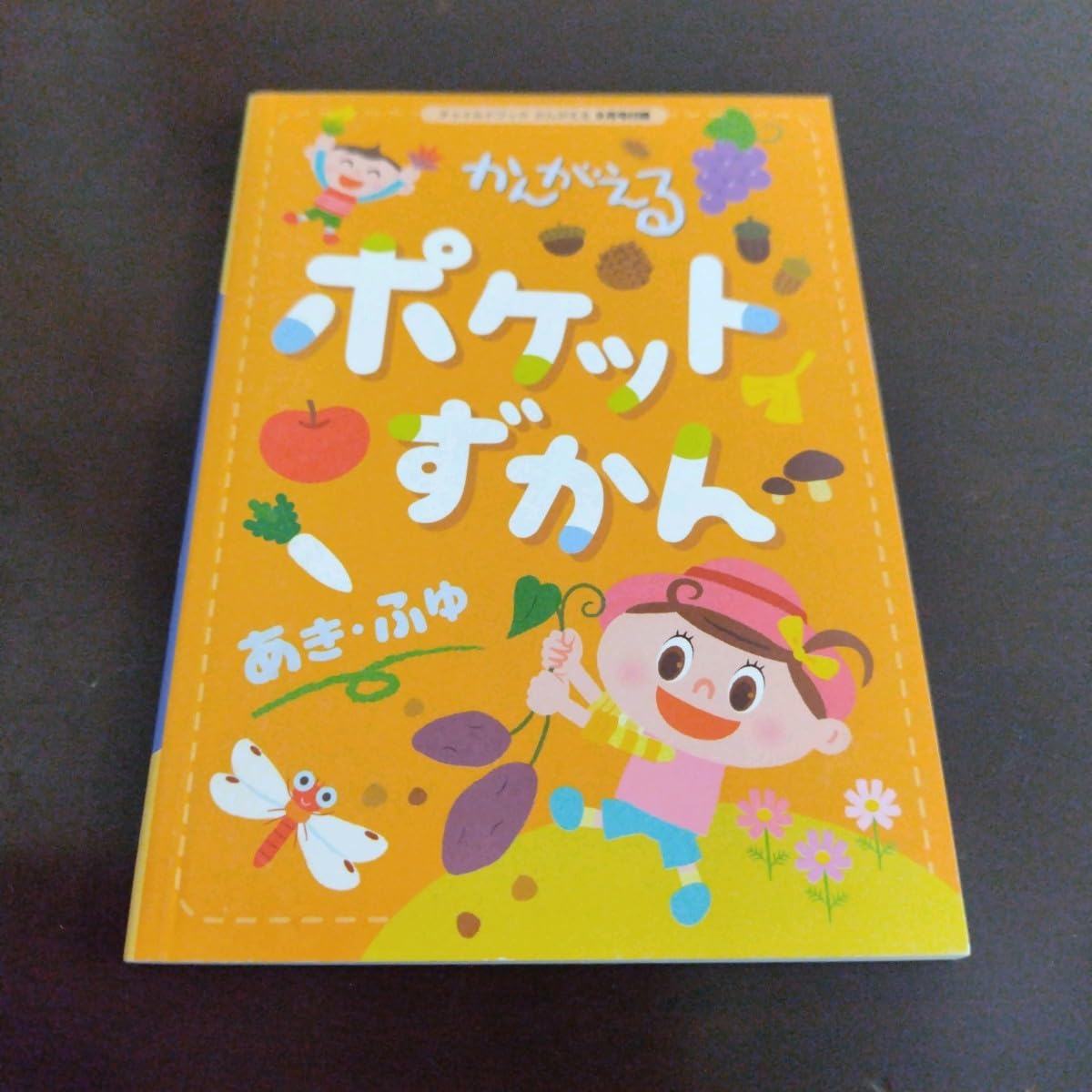 わくわく遊び図鑑 5歳 四季の図鑑4冊セット絵本 春 夏 秋 冬 図鑑 わくわく遊び図鑑 5歳 四季の図鑑4冊セット絵本 春 夏 秋 冬