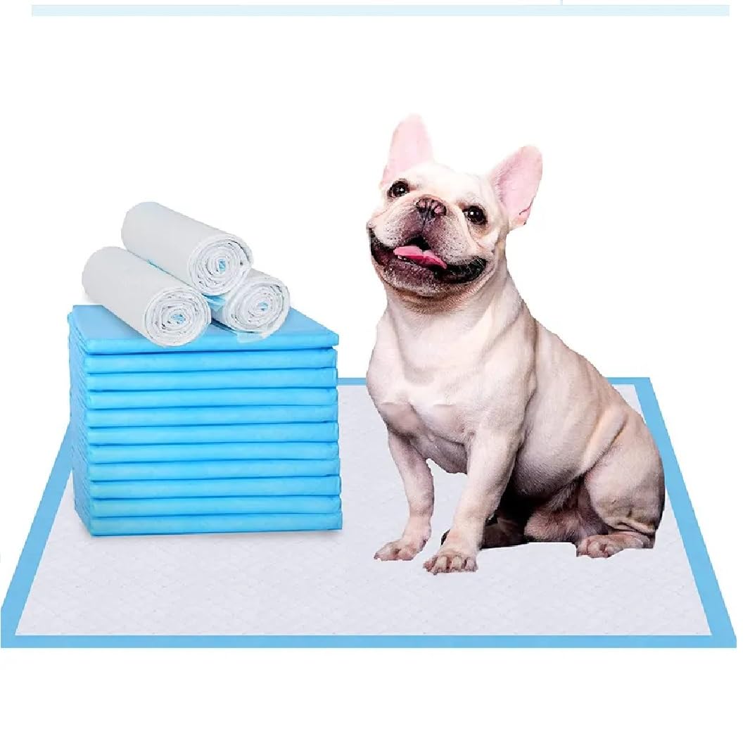 Petmaestro by Patch & Marshall Pet Training Pads with Leak-Proof Quick-Dry Design, for Small Dogs and Puppiess, Cats, Rabbits Training Pads with FloorTape , Water Proof Pee pad , Medium ,Blue (B0C89KCRC3) Amazon Price History, Amazon Price Tracker