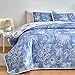 Flysheep Reversible Quilt Set Full Queen Size, 3 Pieces White Blue Botanical Floral Printed Summer Bedding Set, Soft Microfiber Lightweight Bedspread/Coverlet for All Season - 92